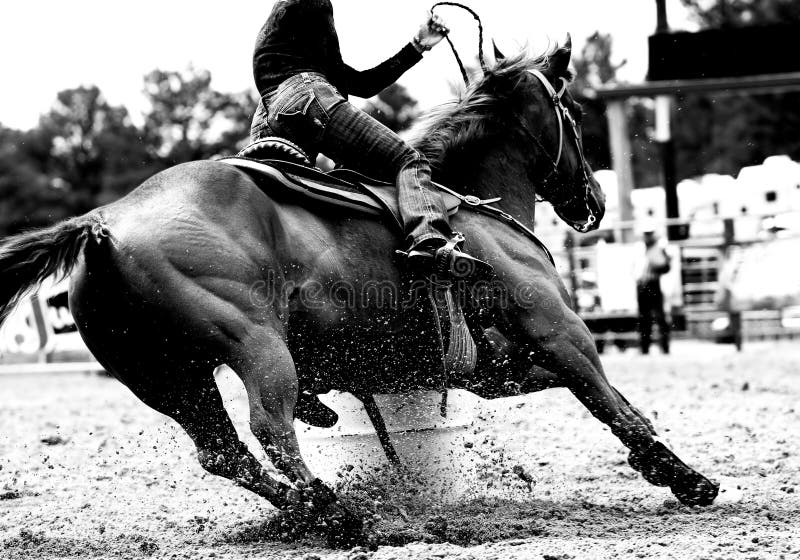 primo piano di bw del barilotto che corre rodeo fotografia stock libera da diritti primo piano di bw del barilotto che corre rodeo fotografia stock libera da diritti