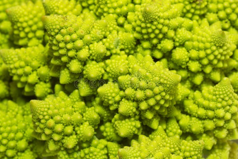 Primo piano di macro dei broccoli di Romanesco