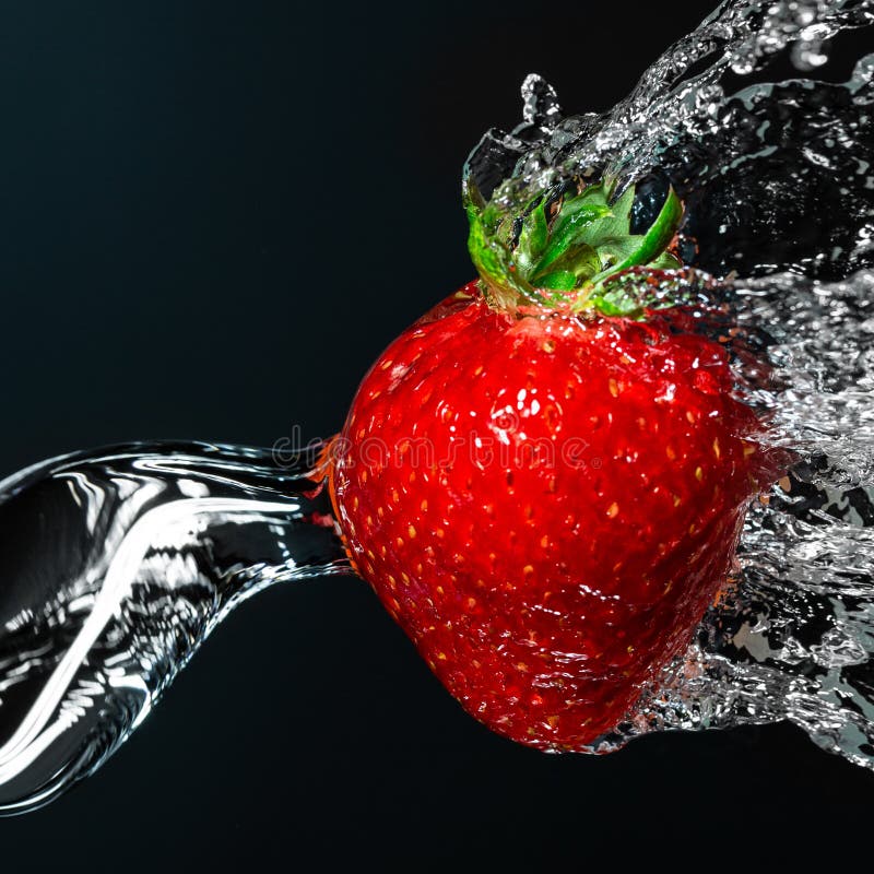 Primo piano fresco della bacca della fragola sotto l'acqua corrente Fondo scuro fotografia stock Primo piano fresco della bacca della fragola sotto l'acqua corrente Fondo scuro fotografia stock