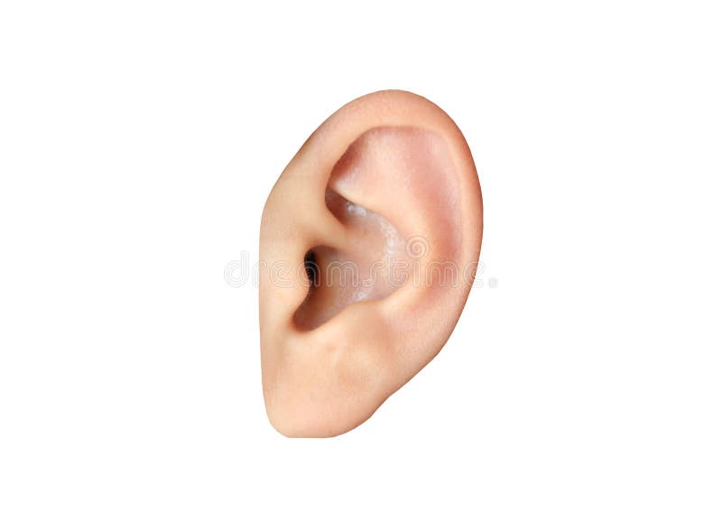 Primo piano umano dell'orecchio