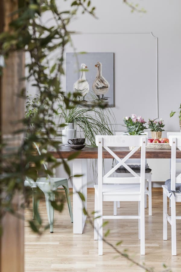 Primo piano vago di una pianta con una sedia accanto ad un tavolo da pranzo nei precedenti Foto reale di un interno della sala da immagine stock Primo piano vago di una pianta con una sedia accanto ad un tavolo da pranzo nei precedenti Foto reale di un interno della sala da immagine stock