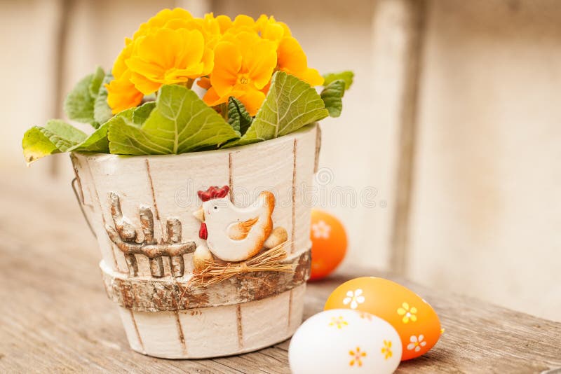Primulabloem en paaseieren stock foto's