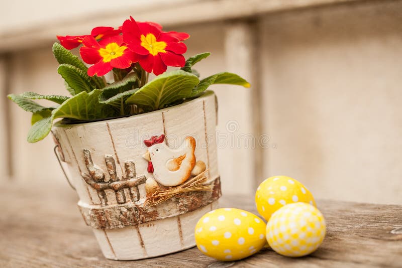 Primulabloem en paaseieren royalty-vrije stock foto's
