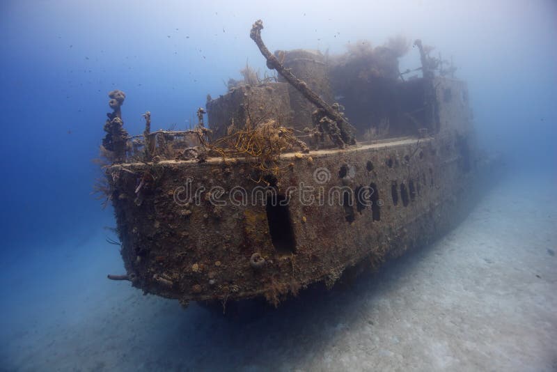 Prince Albert wreck in Roatan, Honduras.