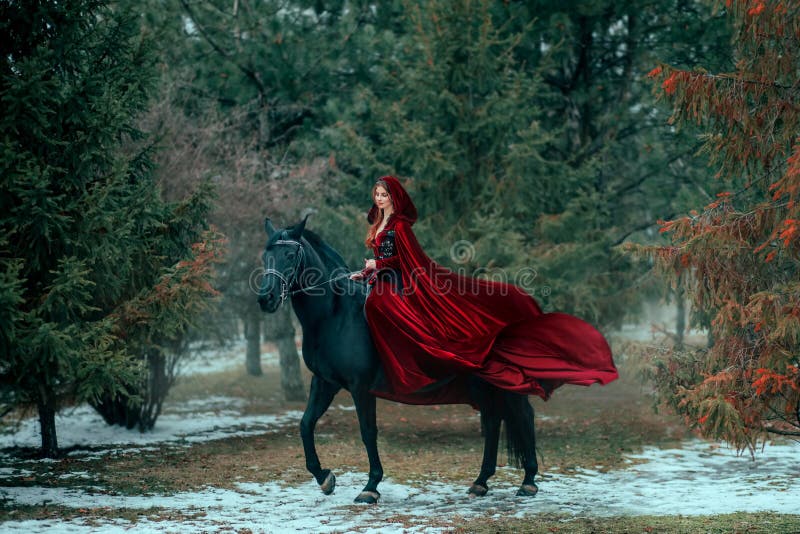 Cavalo Está Sentado Na Frente De Um Fundo Escuro, Fotos De Cavalos A Venda  Imagem de plano de fundo para download gratuito