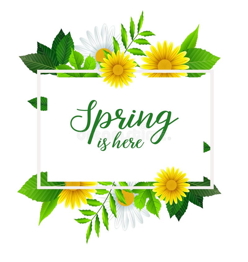 Spring is Here Banner Template with Beautiful Flower and Leaves Stock