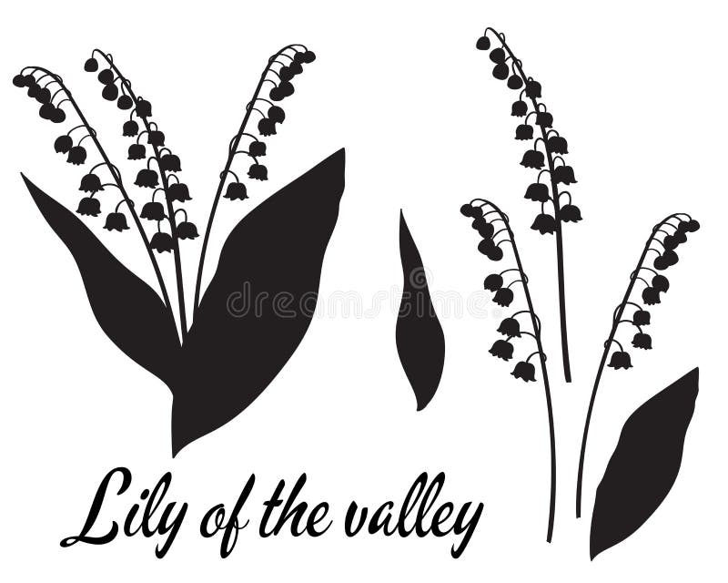 Download White Lillies Stock Illustrations - 145 White Lillies ...