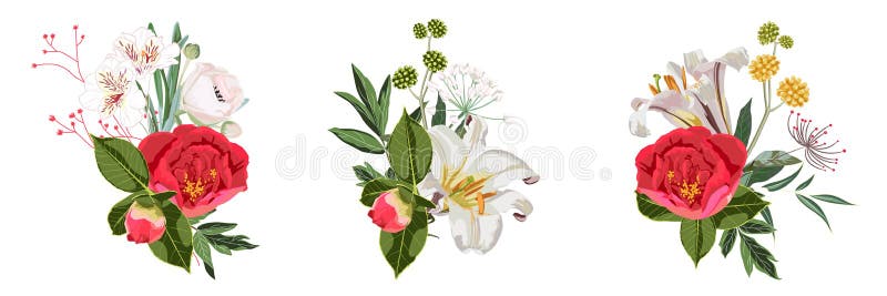 Floral illustration, Leaf and buds. Set of botanic composition for wedding, greeting card. royalty free illustration Floral illustration, Leaf and buds. Set of botanic composition for wedding, greeting card. royalty free illustration