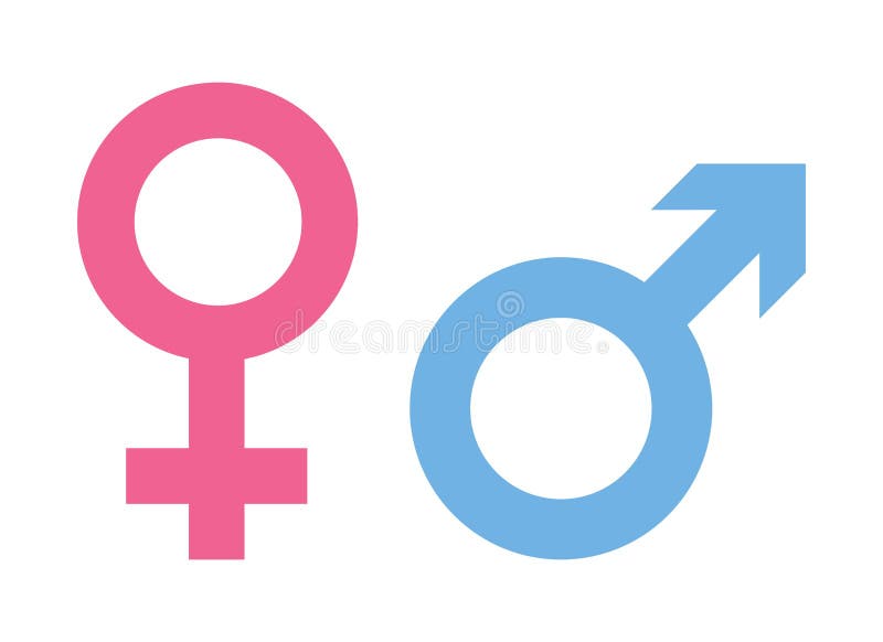 Man and Woman sign icon. Symbol pink of female and blue of male vector illustration