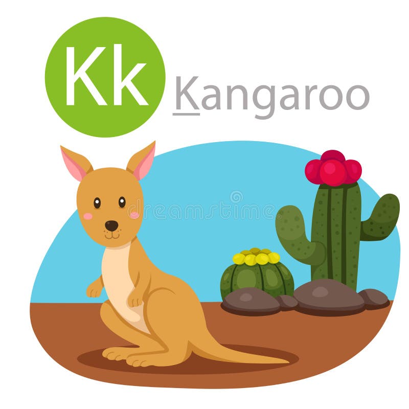 Illustrator of K for kangaroo animal royalty free illustration