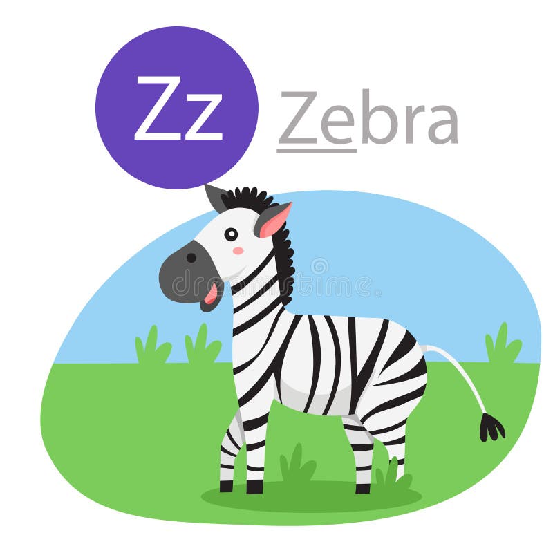 Illustrator of Z for Zebra Animal Stock Vector - Illustration of school,  english: 146149637