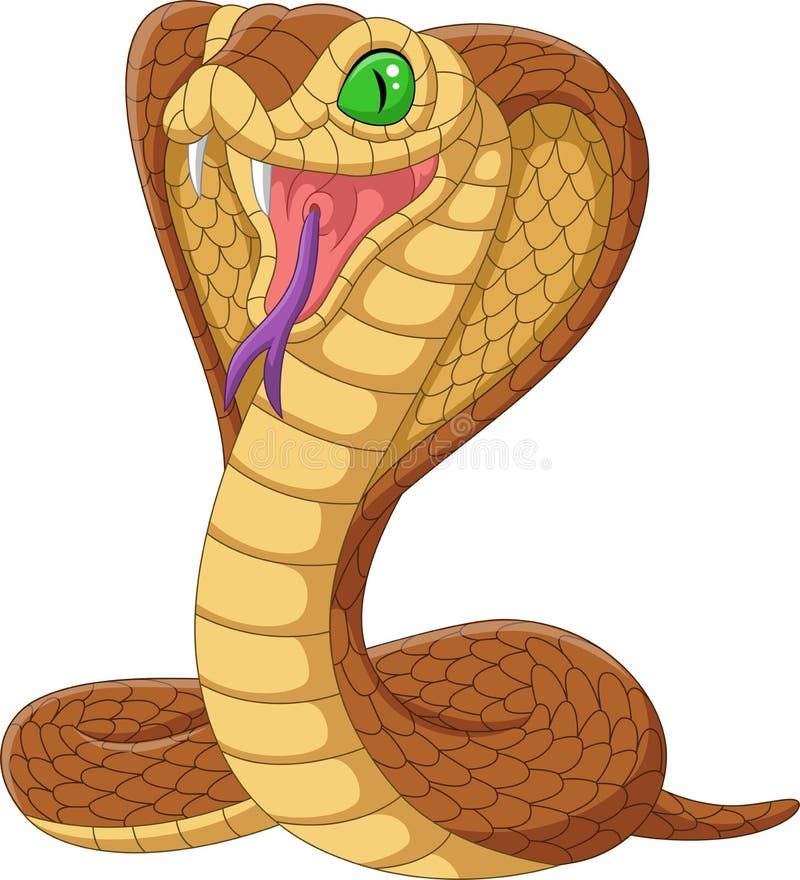 Cartoon king cobra snake on white background