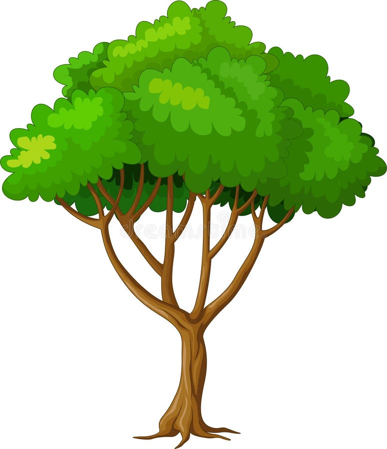 Cool Tree Cartoon stock vector. Illustration of happy - 154132981 Cool Tree Cartoon stock vector. Illustration of happy - 154132981