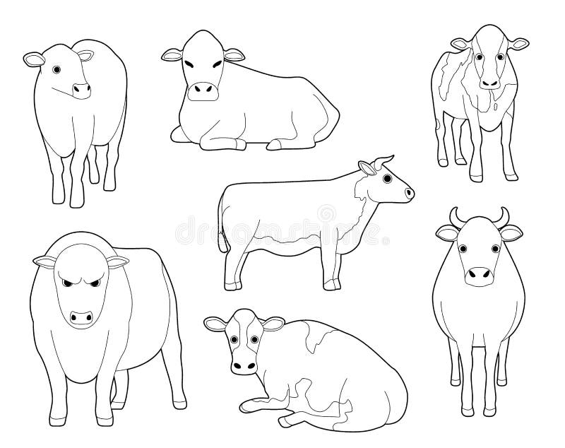 Domestic Cow Cute Cartoon Vector Coloring Book Stock Vector ...