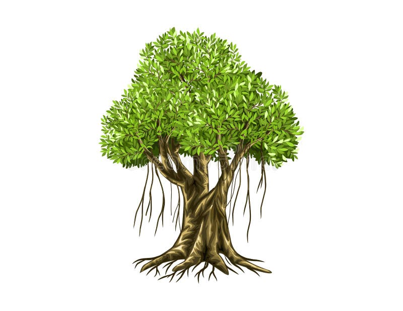Banyan Tree Roots Stock Illustrations – 215 Banyan Tree Roots Stock  Illustrations, Vectors & Clipart - Dreamstime
