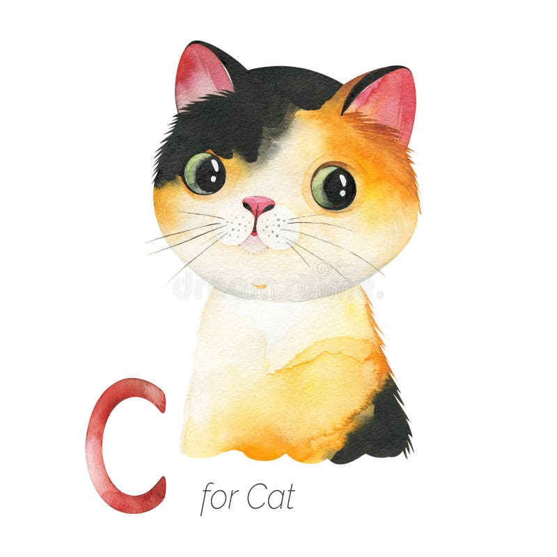 Cute Cat for C letter.