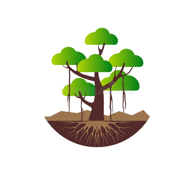 Banyan Tree Stock Illustrations – 771 Banyan Tree Stock Illustrations, Vectors & Clipart - Dreamstime Banyan Tree Stock Illustrations – 771 Banyan Tree Stock Illustrations, Vectors & Clipart - Dreamstime