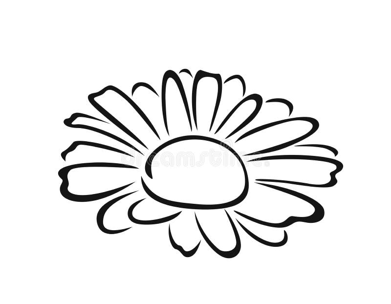 Chamomile Black and White Silhouette, Outline. Vector Cartoon Illustration  of Daisy Flower Stock Vector - Illustration of background, drawing:  178278340