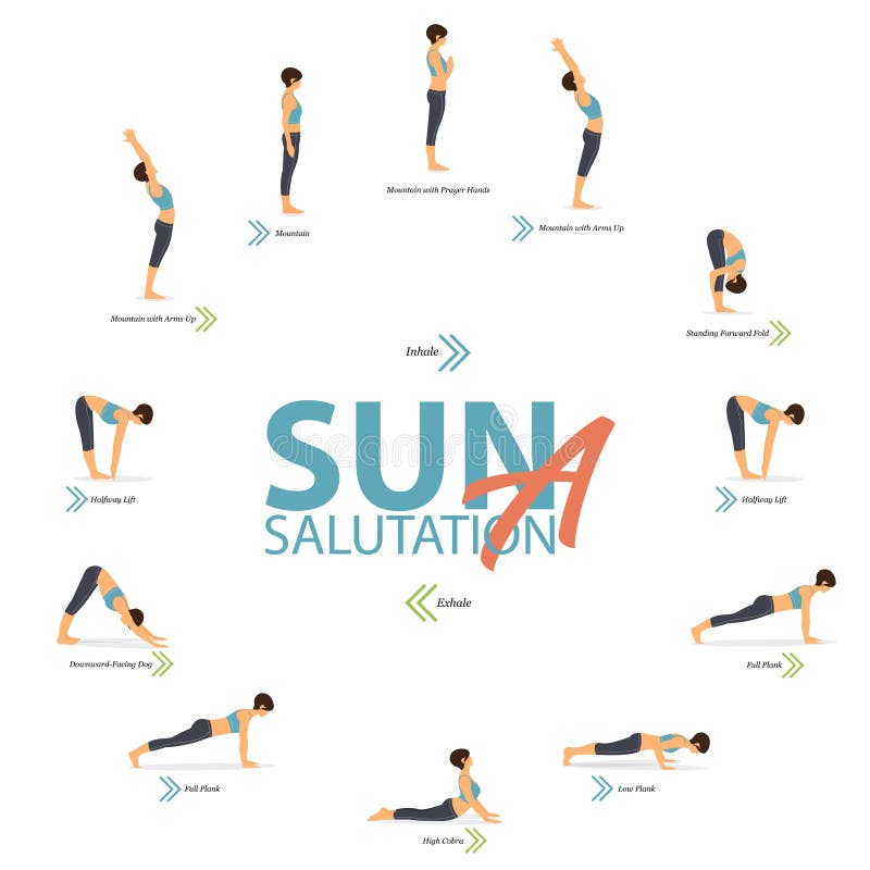 Sun Salutations yoga illustrations | Surya namaskar, Yoga illustration,  Kundalini yoga