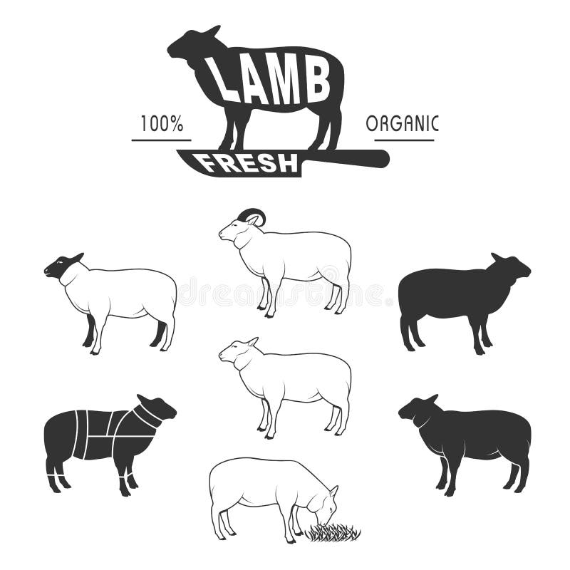 sheep profile clip art