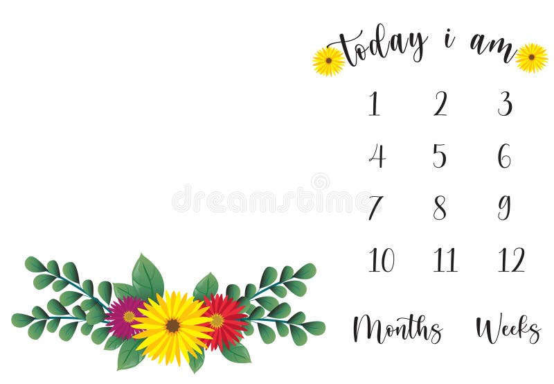 Milestone blanket background unisex boy + girl decoration baby shower baby new born month 1, 2, 3, 4, 5, 6, 7, 8, 9, 10,11, 12. editable eps file. Unisex baby shower vectors