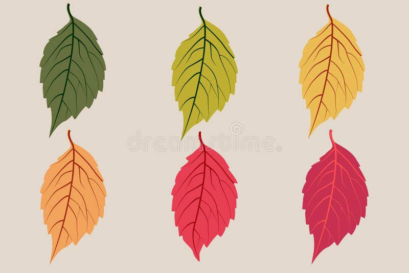 A set of Autumn or Fall illustration leaves set royalty free illustration