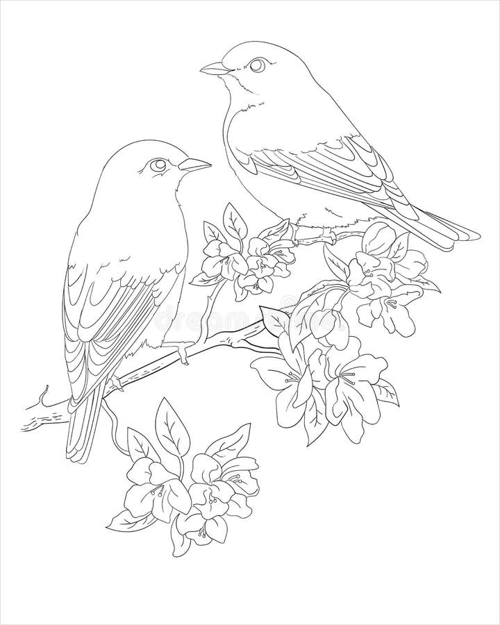 Download Couple Coloring Page Stock Illustrations 979 Couple Coloring Page Stock Illustrations Vectors Clipart Dreamstime