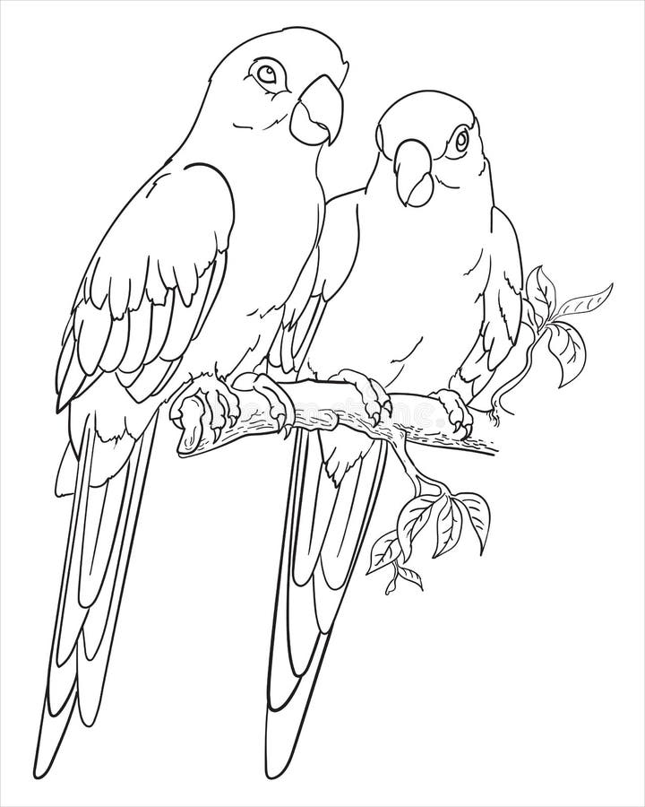 Print Couple of Birds and Flower Coloring Page Stock Vector ...