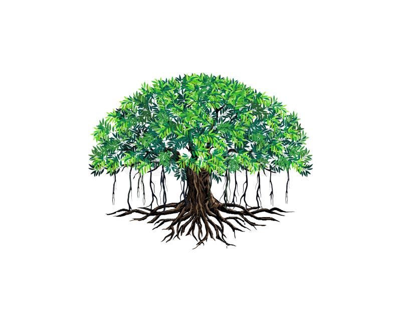 Banyan Tree Stock Illustrations – 771 Banyan Tree Stock Illustrations, Vectors & Clipart - Dreamstime Banyan Tree Stock Illustrations – 771 Banyan Tree Stock Illustrations, Vectors & Clipart - Dreamstime