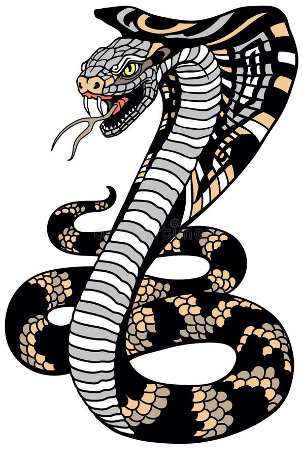 Stylized highly detailed snake cobra Royalty Free Vector
