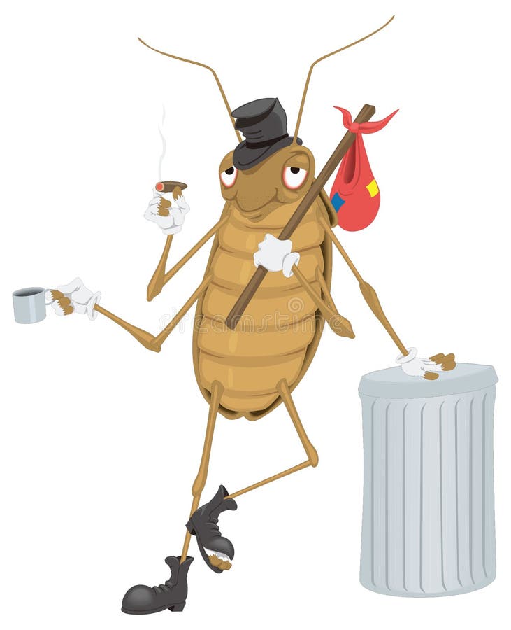 Cockroach funny insect vector illustration transparent background vector illustration
