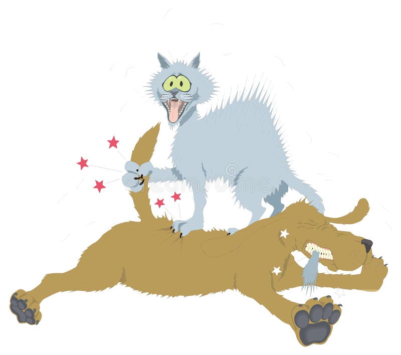 Cats And Dogs Fighting Cartoon