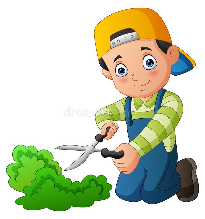 Young Man, Gardener Picking Apples from Apple Tree, Flat Vector ...