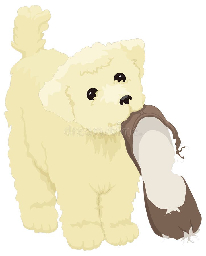 shoes clipart png of a dog