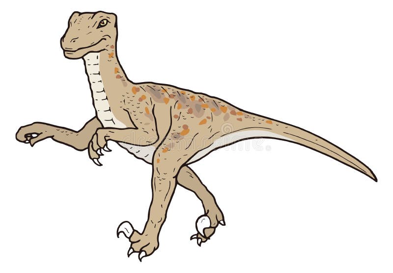 velociraptor raptor stock illustrations 1 254 vectors clipart dreamstime fiori da colorare piccoli mandala tibetani