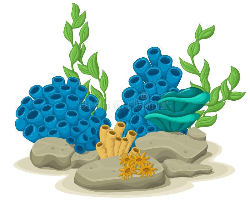 Sea Sponges Stock Illustrations 224 Sea Sponges Stock Illustrations