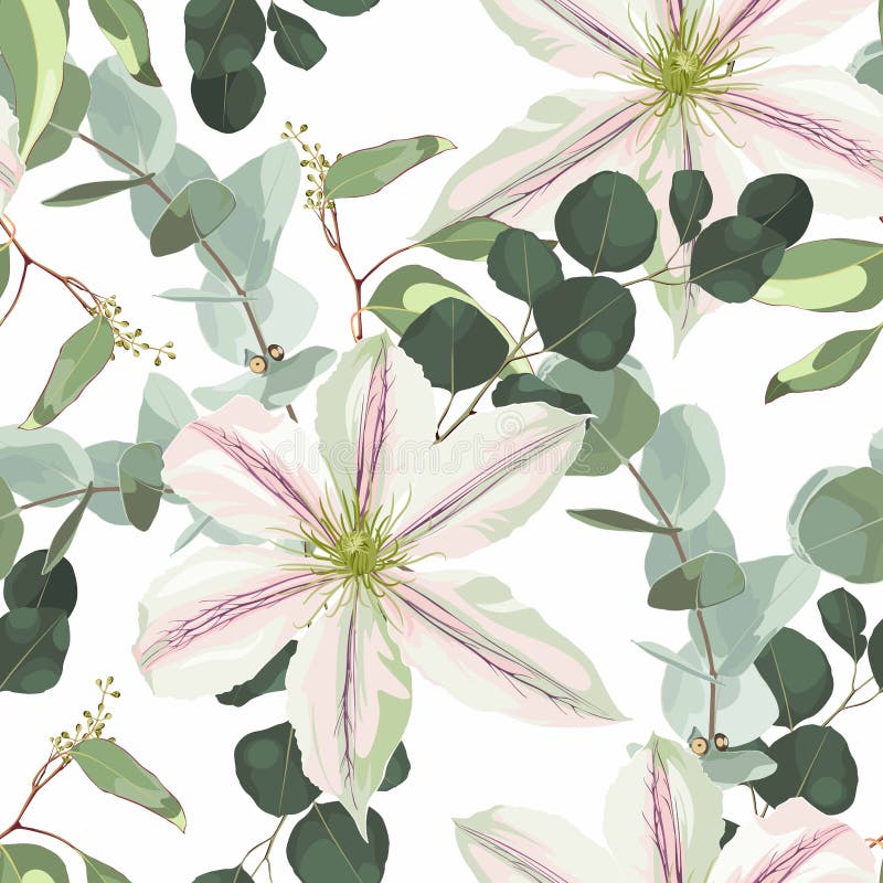 Vintage floral seamless background pattern. Beautiful clematis flowers with eucaliptus on white background. royalty free illustration.