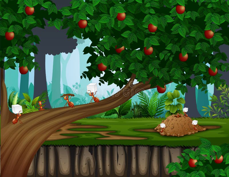 Cartoon of Ants Colony on the Apple Tree Stock Vector - Illustration of concept, green: 231742487 Cartoon of Ants Colony on the Apple Tree Stock Vector - Illustration of concept, green: 231742487