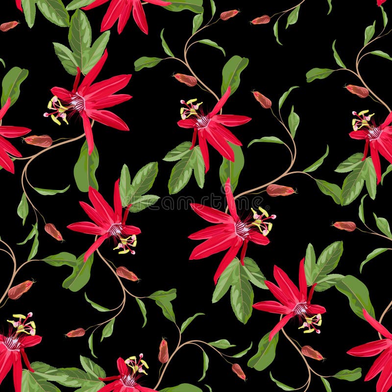 Red Passion flower seamless pattern, buds and leaf on black background. vector illustration