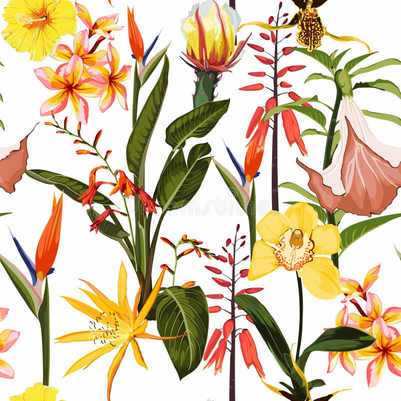 Yellow tropical flowers seamless pattern, buds and tropical leaves on white background. stock illustration