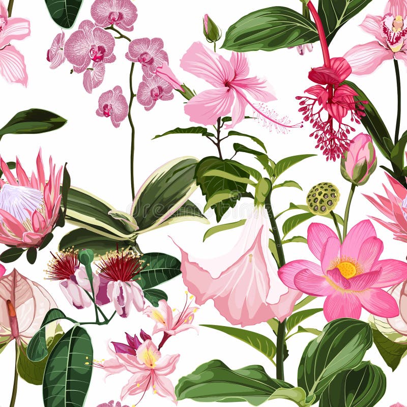Pink tropical flower seamless pattern, buds and leaves on white background. royalty free illustration