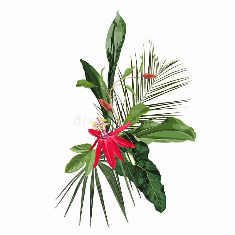 Paradise exotic palm leaves and Red Passion flower. Card template composition. royalty free illustration