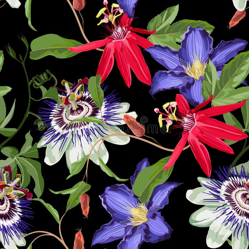 Passion flower, clematis seamless pattern, buds and palm tropical leaves on black background. Blooming floral for wallpaper stock illustration