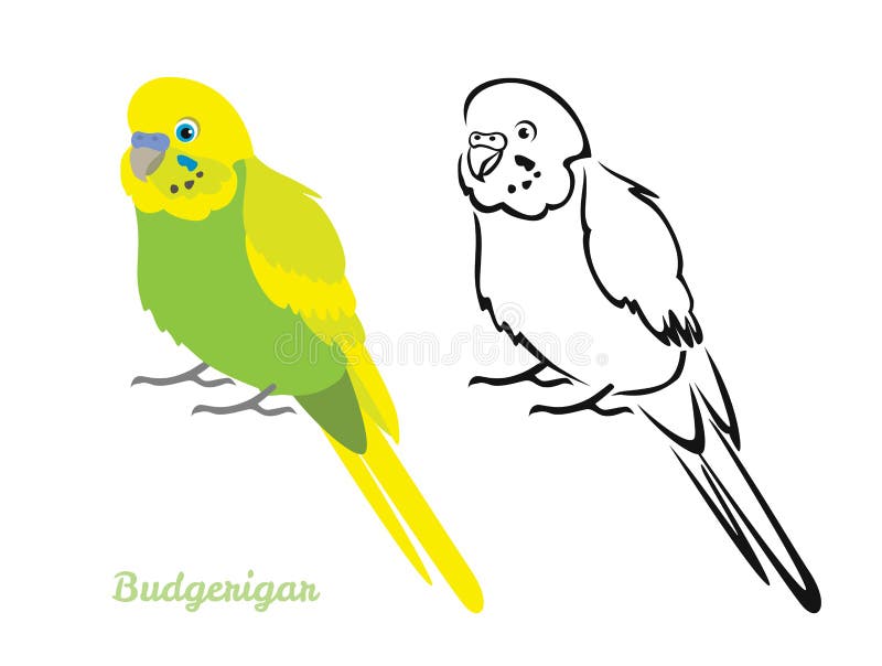 Budgerigar Logo Stock Illustrations – 111 Budgerigar Logo Stock Illustrations, Vectors & Clipart - Dreamstime Budgerigar Logo Stock Illustrations – 111 Budgerigar Logo Stock Illustrations, Vectors & Clipart - Dreamstime