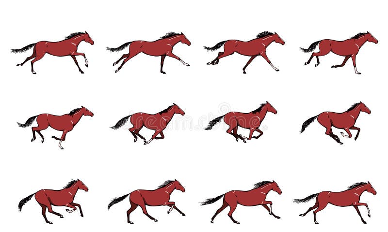 Animated Gallop Stock Illustrations – 14 Animated Gallop Stock Illustrations, Vectors & Clipart - Dreamstime Animated Gallop Stock Illustrations – 14 Animated Gallop Stock Illustrations, Vectors & Clipart - Dreamstime