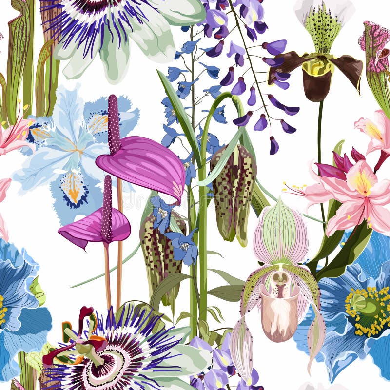 Tropical flower seamless pattern, buds and leaves on white background. Blooming floral for wallpaper, greeting card royalty free illustration