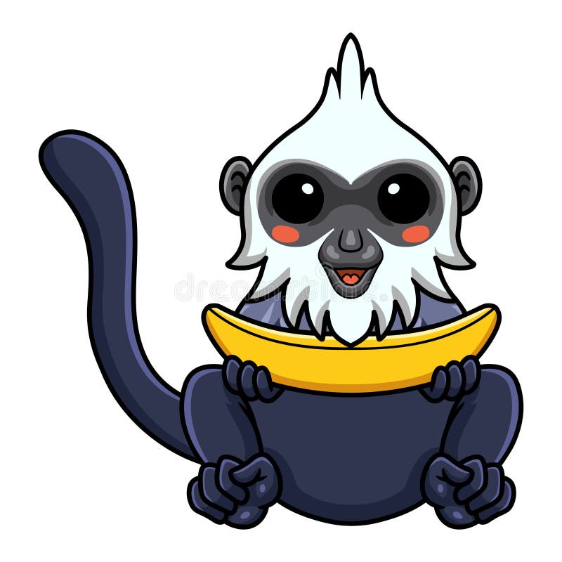 Cute white headed langur cartoon holding a banana vector illustration