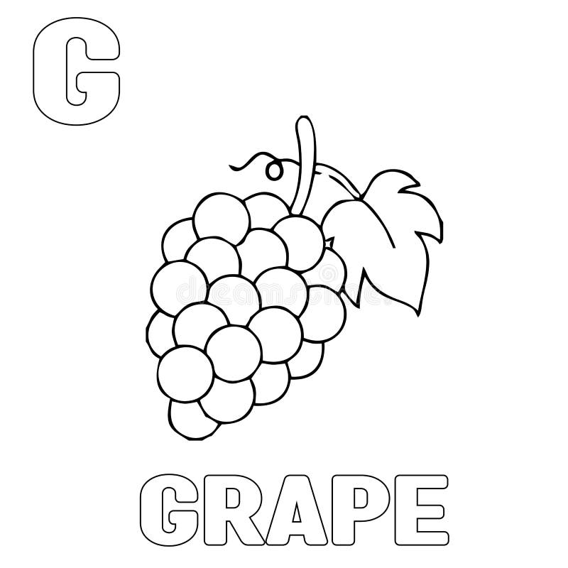 Letter G Grapes Stock Illustrations – 67 Letter G Grapes Stock ...