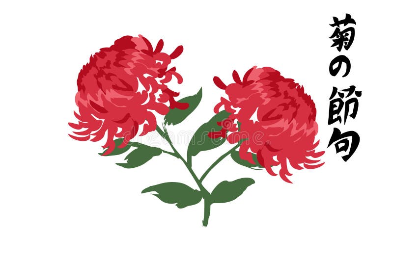Translation Chrysanthemum Day. Public Holiday in Japan Vector