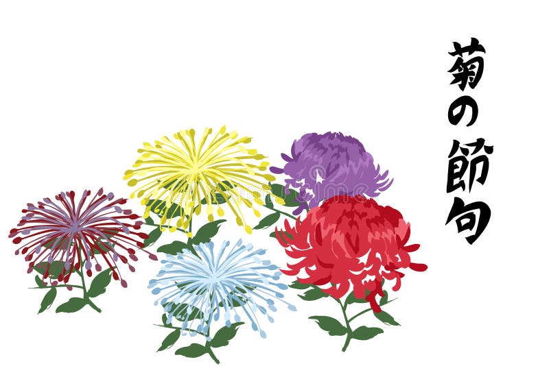 Translation Chrysanthemum Day. Public Holiday in Japan Vector